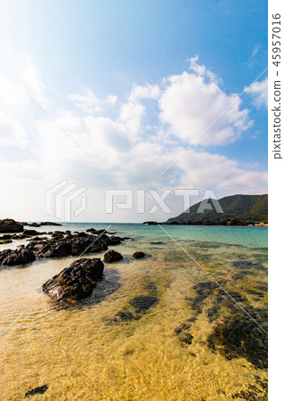 Kagoshima Prefecture Amami Oshima Otoshicho Oji Kagoshima Prefecture Amami Oshima Otoshicho Oji 45957016