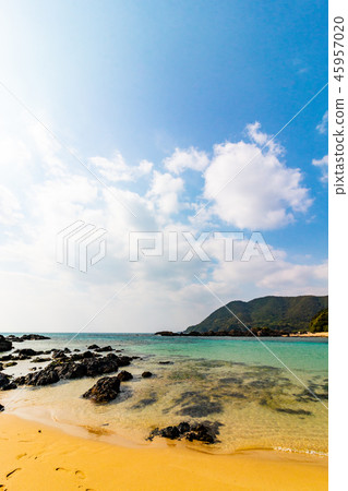 Kagoshima Prefecture Amami Oshima Otoshicho Oji 45957020