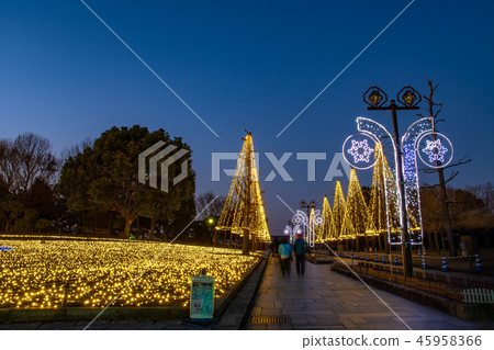 Night illumination of Gifu Prefecture Kiso Mikawa Park 45958366
