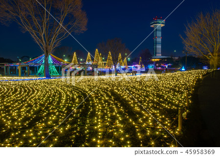 岐阜縣木曾三河公園的晚上風景冬天的照明 45958369
