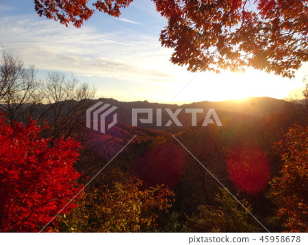 Autumn leaves and sunsets 45958678