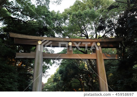 明治神宮的大鳥居 45958697