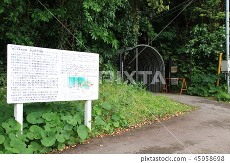 Akayama underground burial site of Tateyama city, Chiba prefecture Akayama underground burial site of Tateyama city, Chiba prefecture 45958698