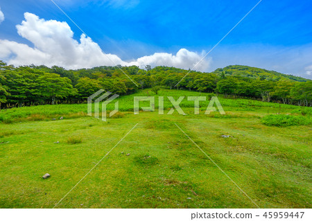 太鼓山的後室！ Myojindaira的草原（三重縣松阪市飯田町）*照片在註釋部分中的位置 45959447