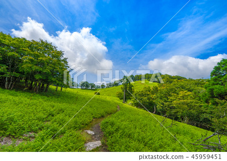 The back room of the Taiko Mountains! Myojindaira's prairie (Iitaka Town, Matsusaka City, Mie Prefecture) *Photo location in comment section 45959451