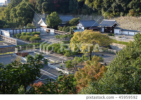 Ninomaru歷史遺址花園 Ninomaru歷史遺址花園 45959592