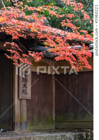 權威Rurikoin 45960221
