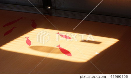 Nankai railway train goldfish Nankai railway train goldfish 45960506