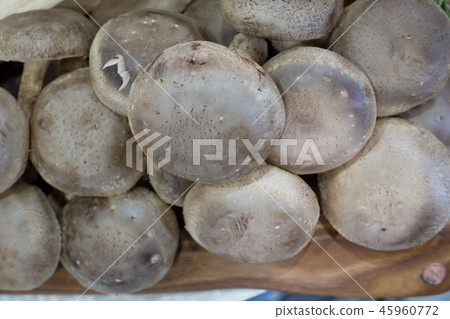 蘑菇 蘑菇 45960772