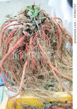 食品配料 45960787