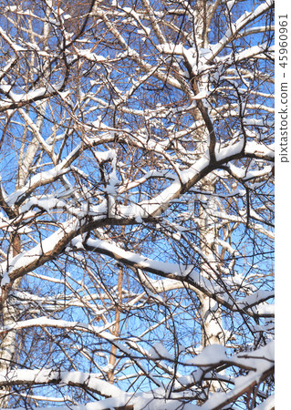 Nice Winter Background Nice Winter Background 45960961