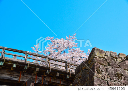 Sakurakage Hikone Castle Corridor Bridge 45961203