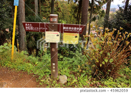 青梅線甘巴站前的道路標誌和警告(2) 青梅線甘巴站前的道路標誌和警告(2) 45962059