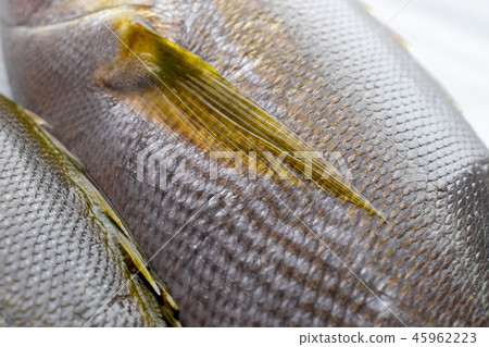 Isaki魚體 Isaki魚體 45962223