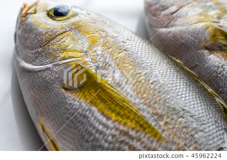 咕嚕 咕嚕 45962224