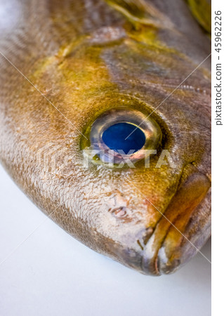 Isaki的負責人 Isaki的負責人 45962226