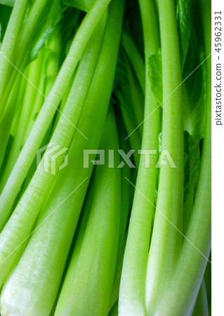Komatsuna stems Komatsuna stems 45962331