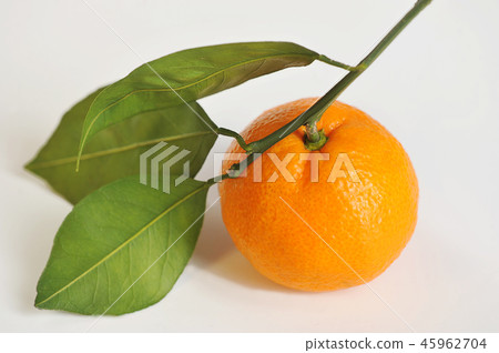 tangerine with leaves 45962704