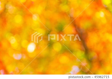 Bokeh from Defocused of colorful autumn leaves Bokeh from Defocused of colorful autumn leaves 45962715