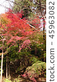 Ryoanji Temple 45963082