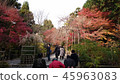 Ryoanji Temple 45963083