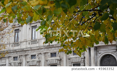 Autumn leaves in Milan, Italy 45963352