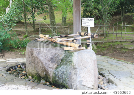 平泉·Chusonji 45963693