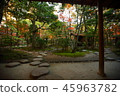 Kyushu sightseeing area Recommended Fukuoka Prefecture Fukuoka City Yakusuien Japanese style garden Autumn leaves 45963782