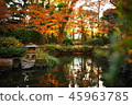 Kyushu sightseeing area Recommended Fukuoka Prefecture Fukuoka City Yakusuien Japanese style garden Autumn leaves 45963785