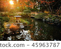 Kyushu sightseeing area Recommended Fukuoka Prefecture Fukuoka City Yakusuien Japanese style garden Autumn leaves 45963787