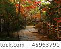 Kyushu sightseeing area Recommended Fukuoka Prefecture Fukuoka City Yakusuien Japanese style garden Autumn leaves 45963791