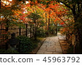 Kyushu sightseeing area Recommended Fukuoka Prefecture Fukuoka City Yakusuien Japanese style garden Autumn leaves 45963792