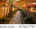 Kyushu sightseeing area Recommended Fukuoka Prefecture Fukuoka City Yakusuien Japanese style garden Autumn leaves 45963793
