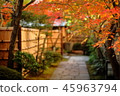Kyushu sightseeing area Recommended Fukuoka Prefecture Fukuoka City Yakusuien Japanese style garden Autumn leaves 45963794