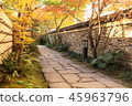 Kyushu sightseeing area Recommended Fukuoka Prefecture Fukuoka City Yakusuien Japanese style garden Autumn leaves 45963796
