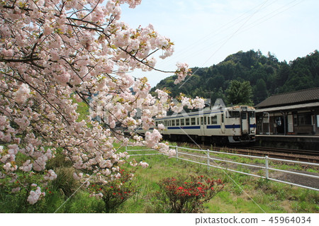 Cherry blossom and wooden station building 45964034