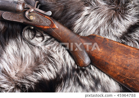 Old Hunting Shotgun 45964788