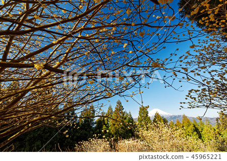 從山上看到的早春富士山。 45965221