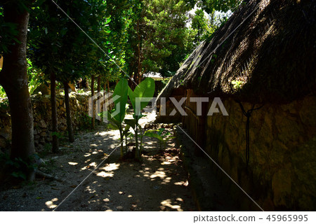 Scenery of native Okinawan village Scenery of native Okinawan village 45965995