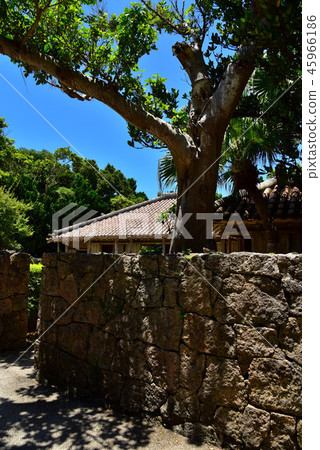 Scenery of native Okinawan village Scenery of native Okinawan village 45966186
