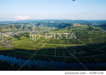 Vineyards of the Moselle Valley in Germany 45967148