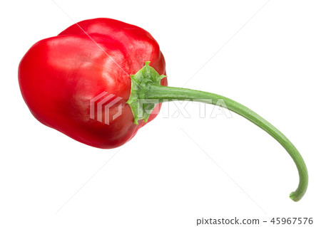 Malawi piquante pepperdew pepper, paths 45967576