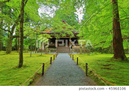 Fresh green Kyoto Ohara Michijoin 45968106