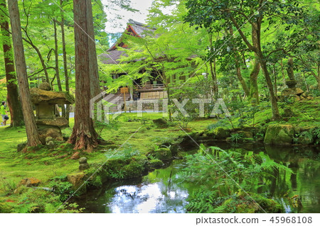 Fresh green Kyoto Ohara Michijoin 45968108