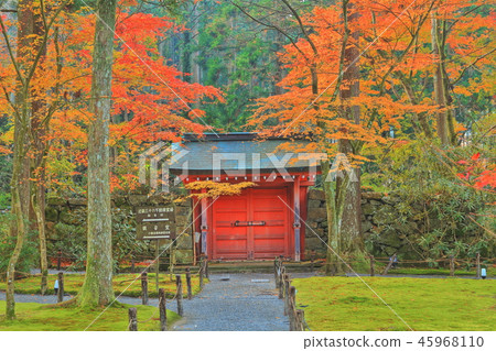 Kyoto Ohara Sansenin Suzakumon of autumn leaves 45968110