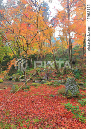 Kyoto Ohara Sansen-in of autumn leaves 45968113