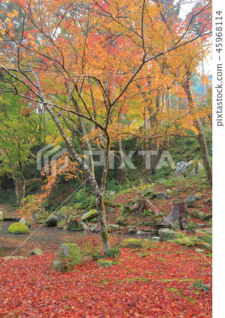 Kyoto Ohara Sansen-in of autumn leaves 45968114