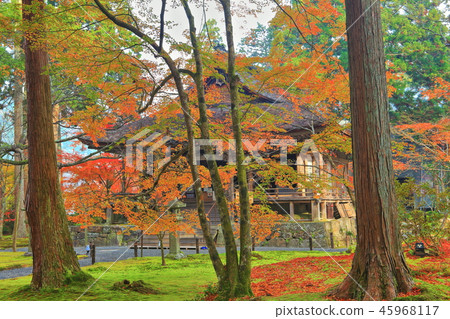 Kyoto Ohara Sansenin Oso Gokurakuin of autumn leaves 45968117