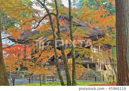 Kyoto Ohara Sansenin Oso Gokurakuin of autumn leaves 45968119