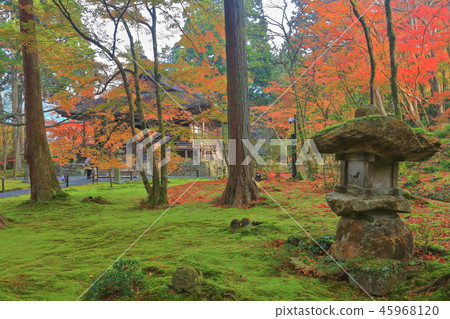 Kyoto Ohara Sansenin Oso Gokurakuin of autumn leaves 45968120